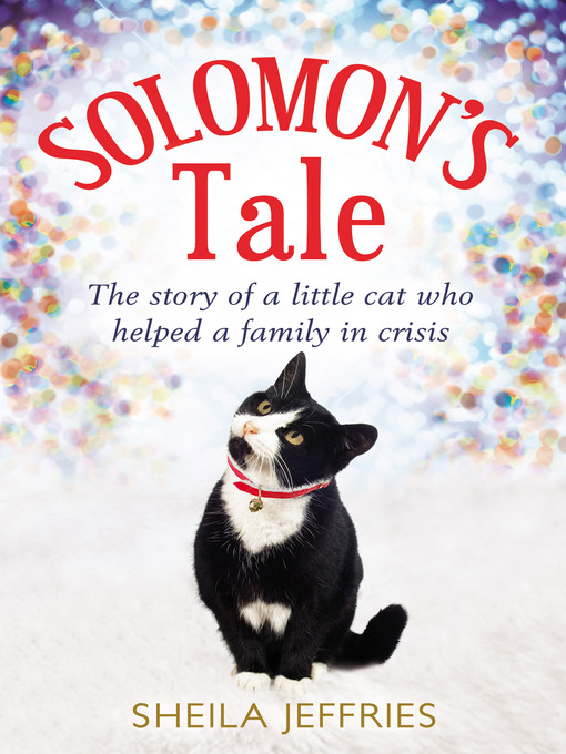 Cover image for Solomon's Tale